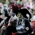 Walpurgis 2026